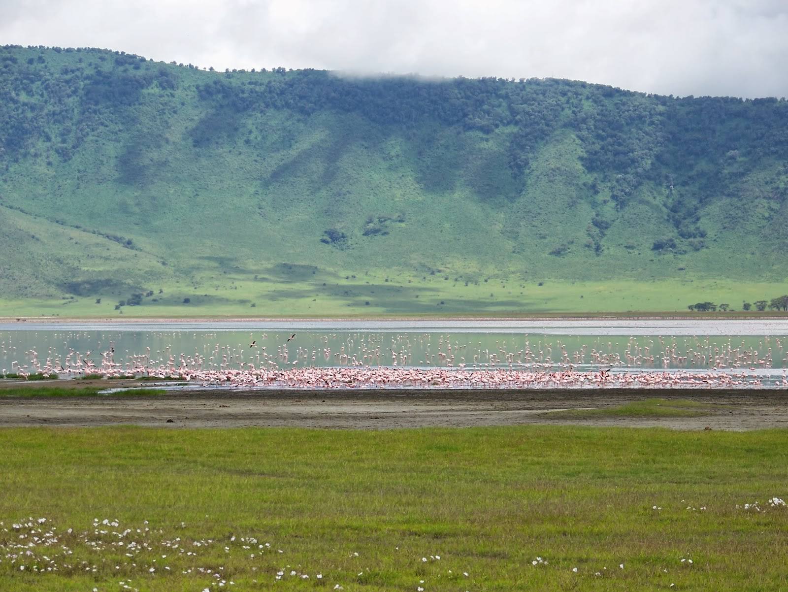 ngorongoro crater