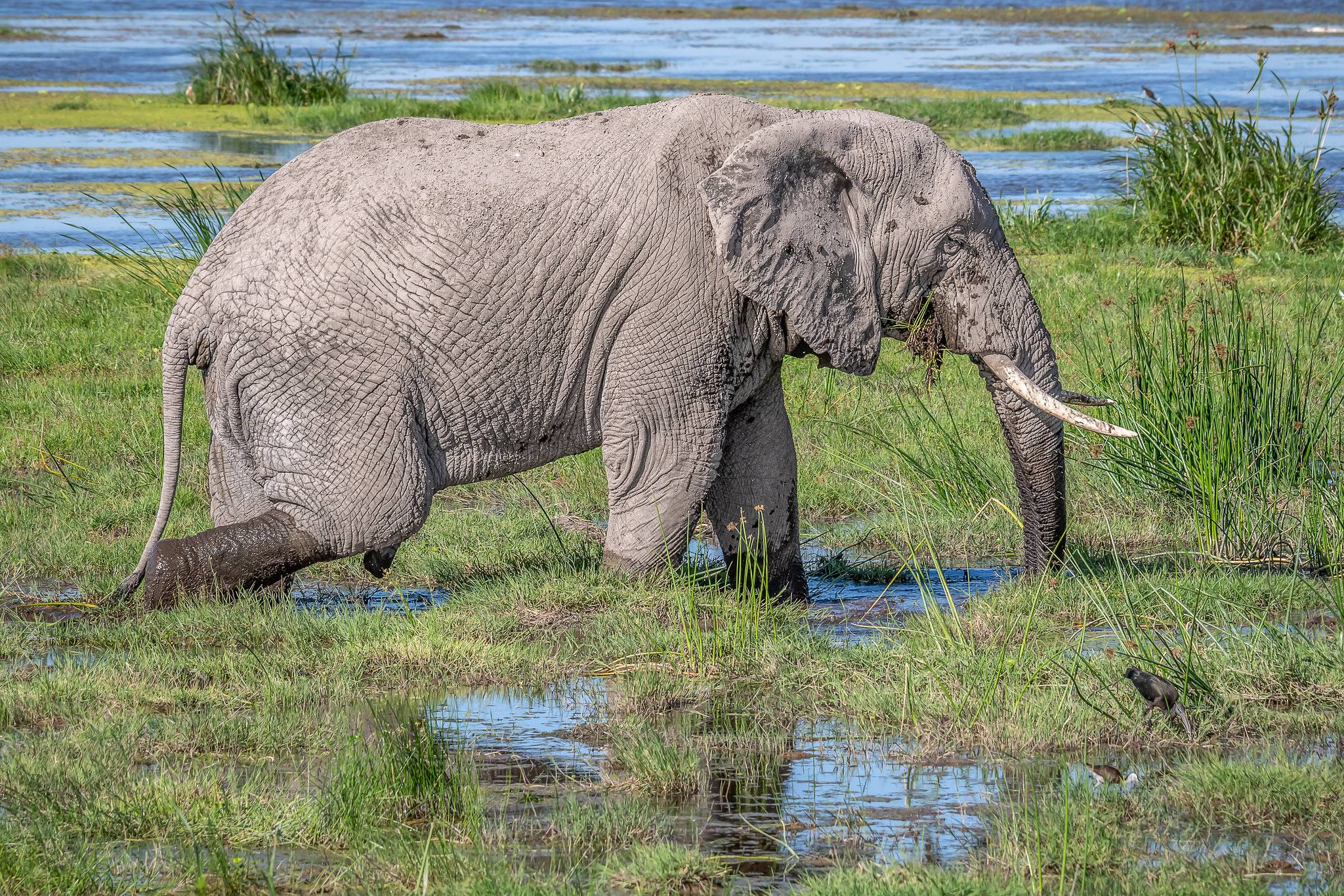ngorongoro crater