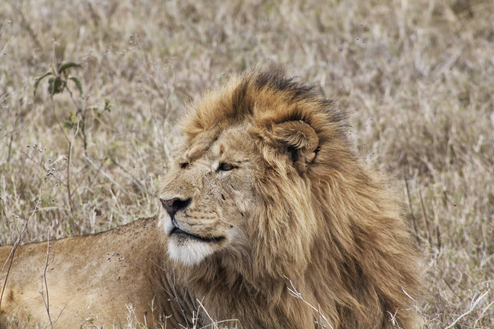 ngorongoro crater