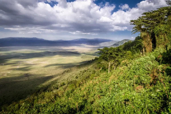 tanzania safari