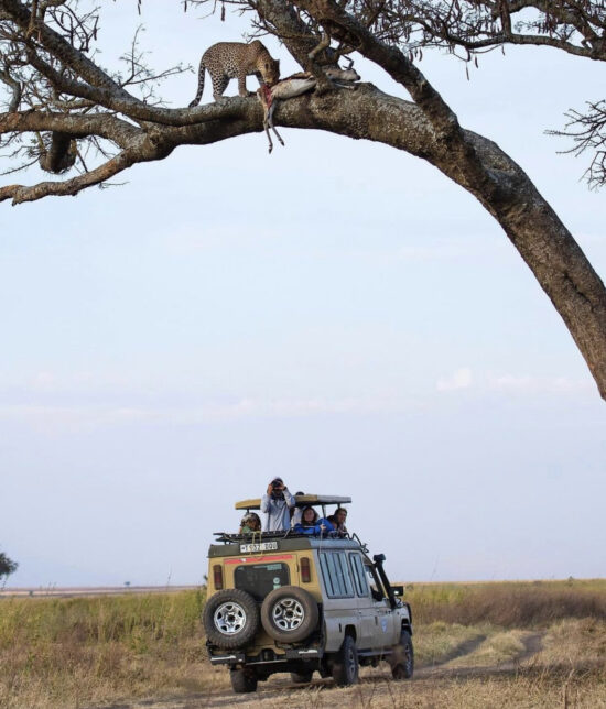 tanzania