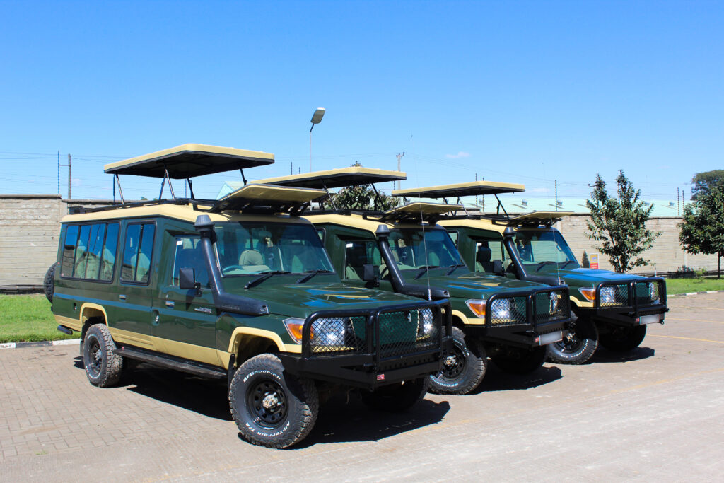 tanzania safari