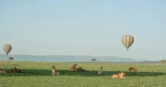 tanzania safari